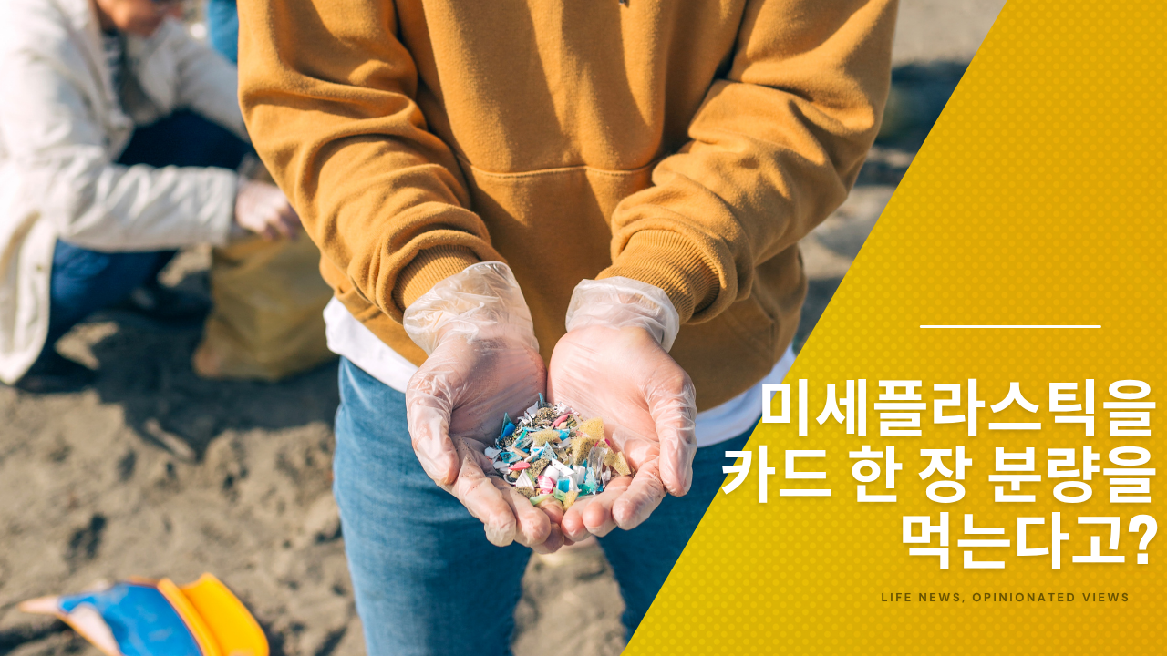 미세플라스틱 가루를 들고 있는 손_섬네일용